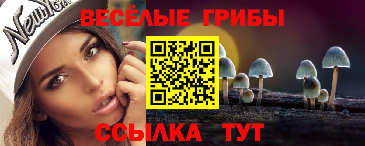 Псилоцибиновые грибы мицелий Черкесск